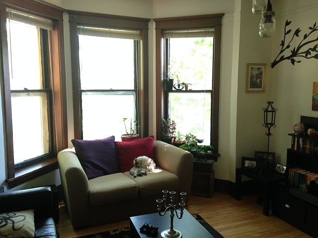 Beautiful windows in living room