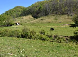 111 Back Valley Rd, Sneedville, TN 37869