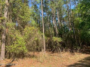 Buggy Whip Trl, Middleburg, FL 32068