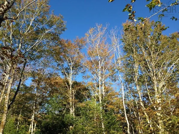 Robert Dr, West Hants, NS B0N 1L0