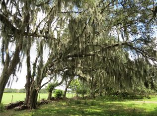 2708 Bevin Hunter Ln, Lithia, FL 33547