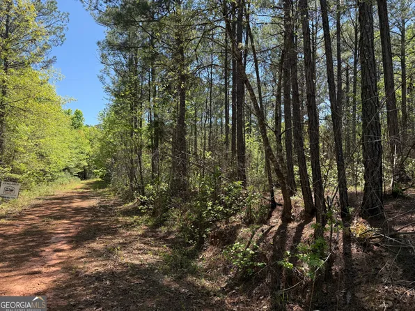Davis Lake Rd, Pine Mountain, GA 31822