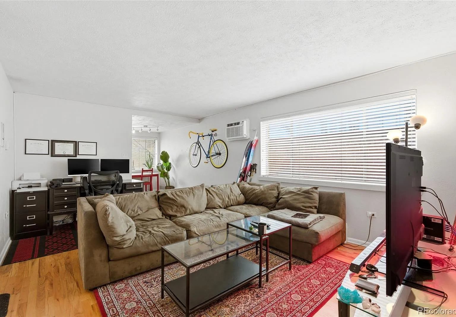 1 bed, 1.0 bath, 593 sqft, $1,500 — Photo 2