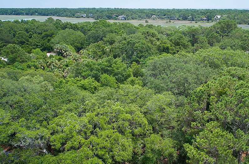 2nd image of 82 River Marsh Ln