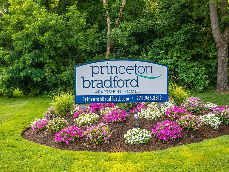 Princeton Bradford — Photo 28