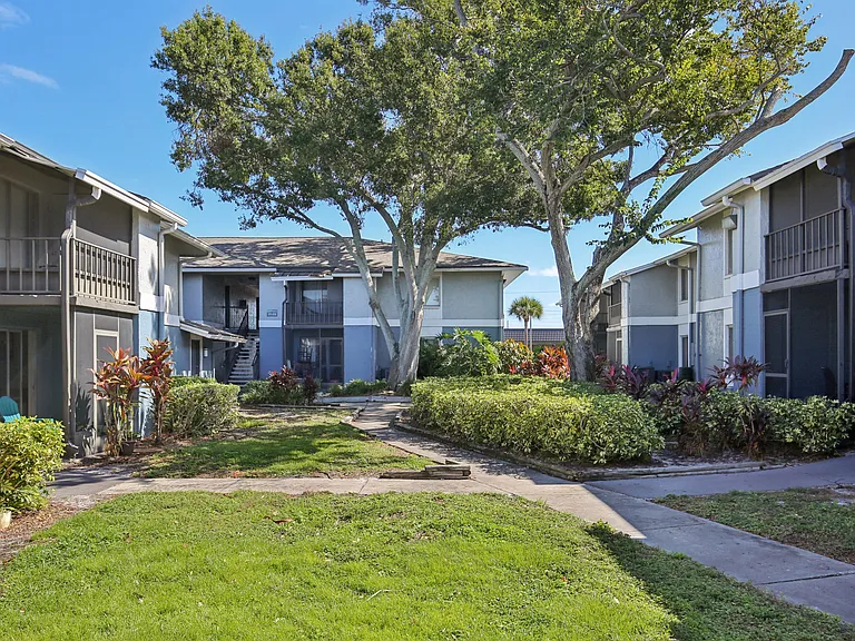 The Palms at Countryside Apartments — Photo 23
