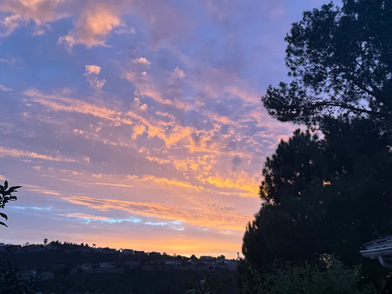 Meadowlark Ranch Rd — Photo 10