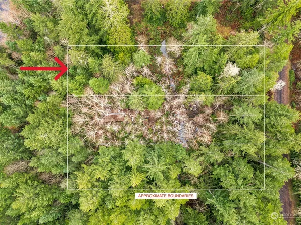 0 Lot 12 W Go Onna Drive, Quilcene, WA 98376