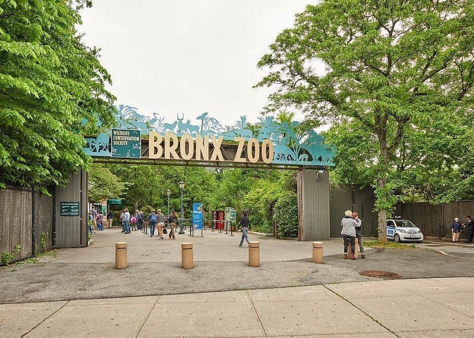 1st image of 950 Bronx Park S APT 5A