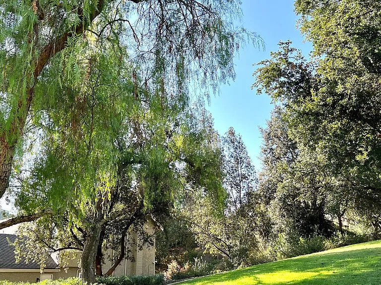 5511 Adelina Ct — Photo 29