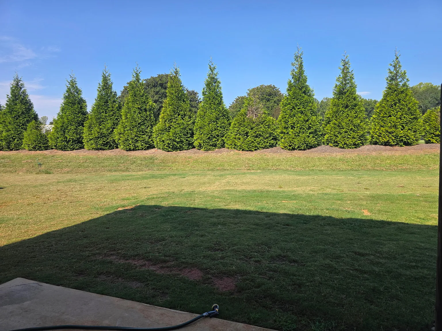 3 bed, 1487 sqft, $1,850 — Photo 4