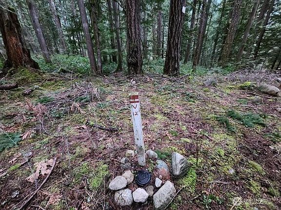 2nd image of 0 Cascade River Road