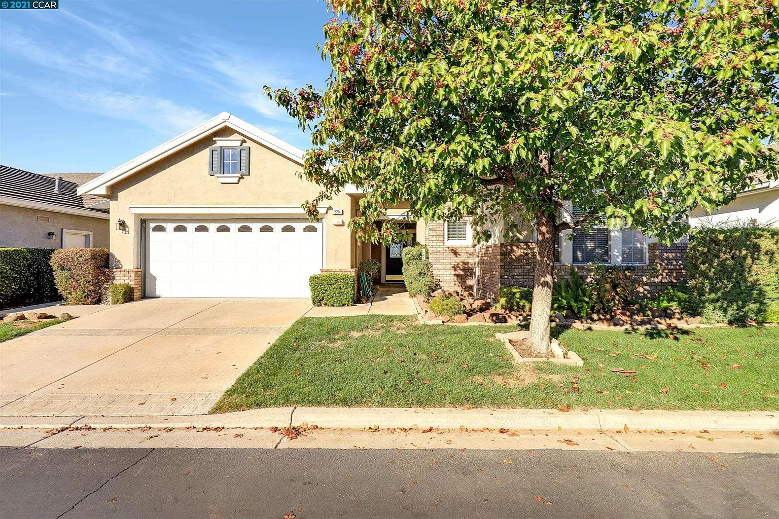 225 Upton Pyne Dr photo 1