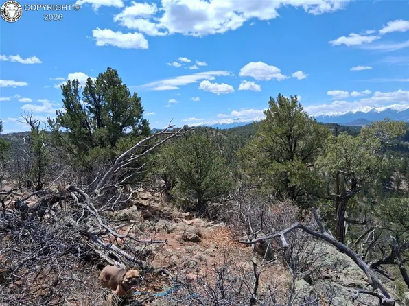 Township Road 1 Path #G, Cotopaxi, CO 81223