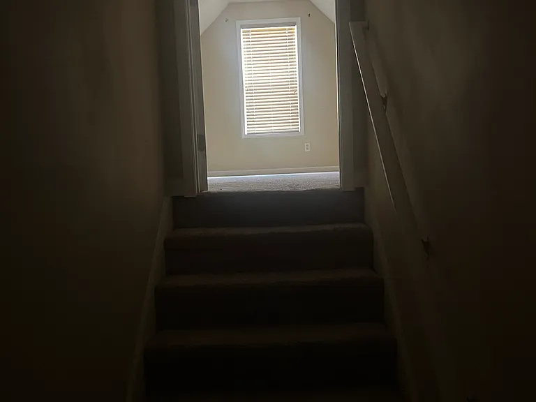 301 Vineyard Ridge Ln — Photo 5