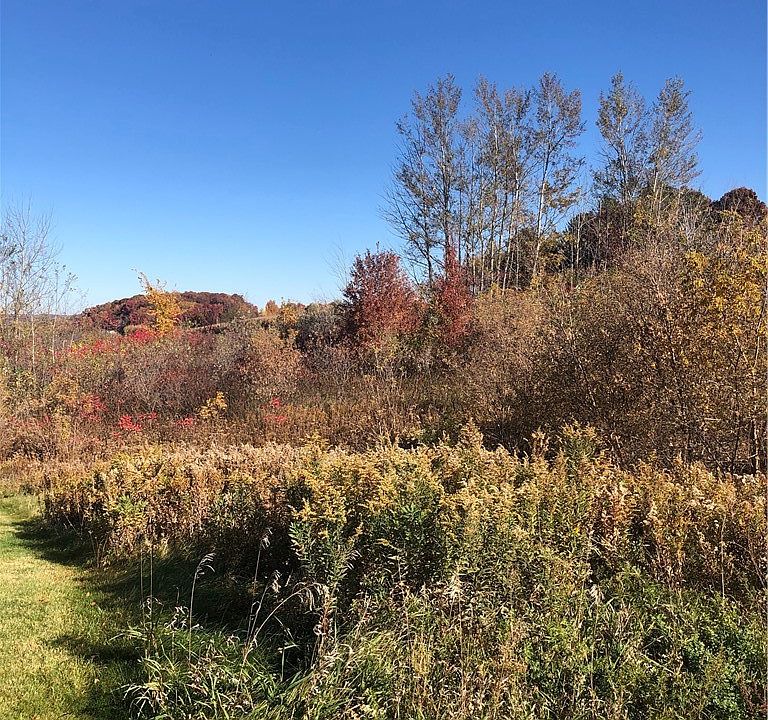 2nd image of Lot 6 553rd Street