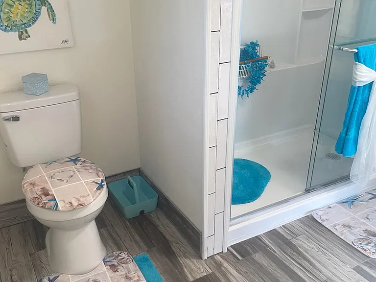 Toilet, shower vanity window