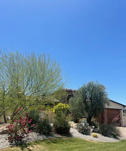 1 Mount San Jacinto Cir — Photo 42