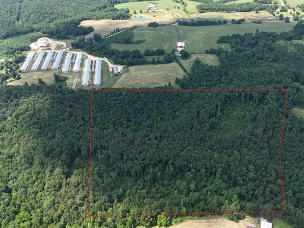 Highway 253, Hackleburg, AL 35564