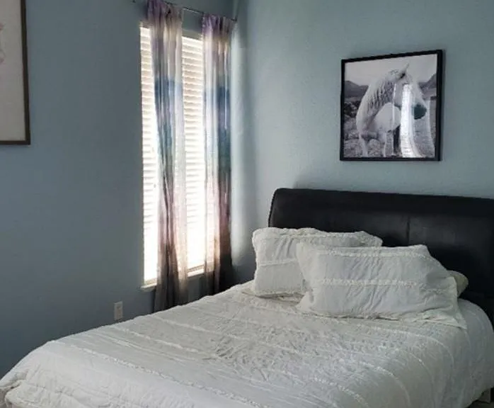 2603 Maitland Crossing Way #10208 — Photo 3