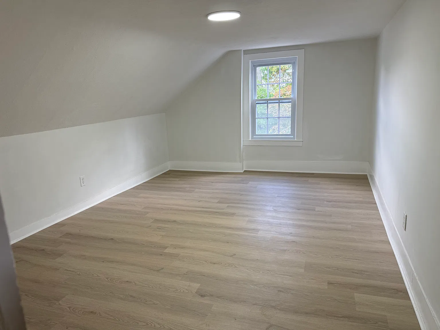2 bed, 800 sqft, $2,000 — Photo 3
