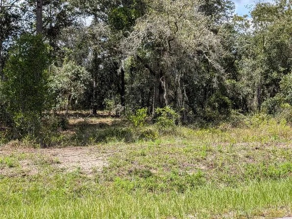 SW Lobelia Ct Lot 6, Dunnellon, FL 34431