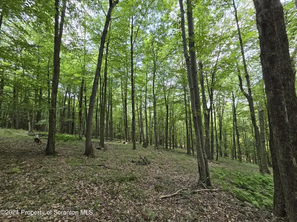 Traver Hill Rd Lot S-1-2, Friendsville, PA 18818