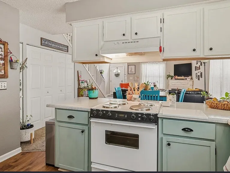 2485 Needle Palm Way — Photo 19