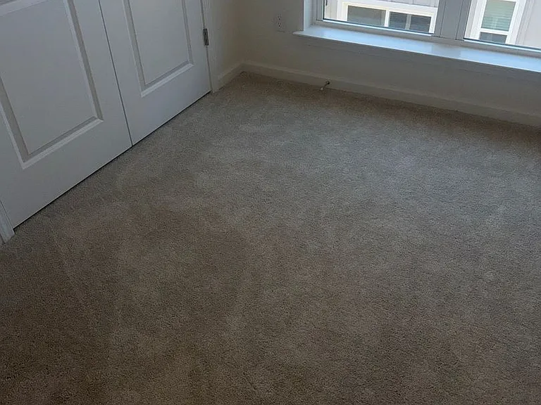 4162 Tillie Cir — Photo 9