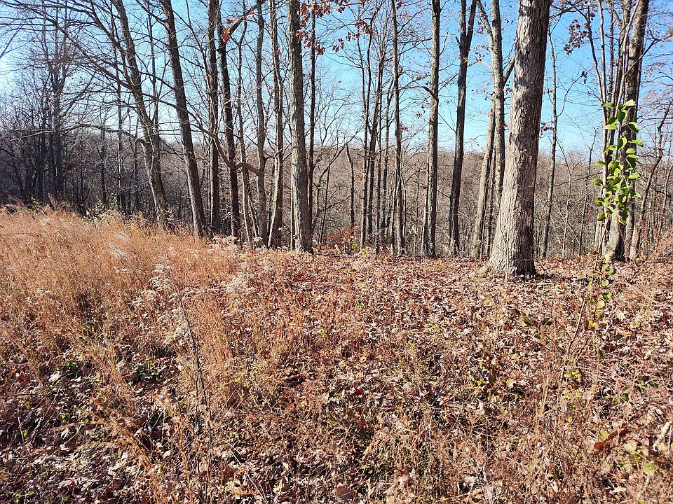 2nd image of 29 Shiloh Ln Lot 29
