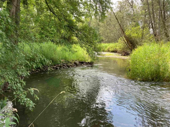 N/a Beechwood, Rose City, MI 48654
