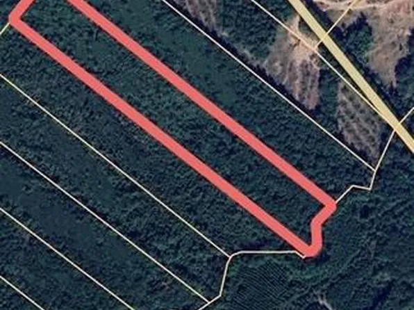 17796 State Highway 87 N, San Augustine, TX 75972