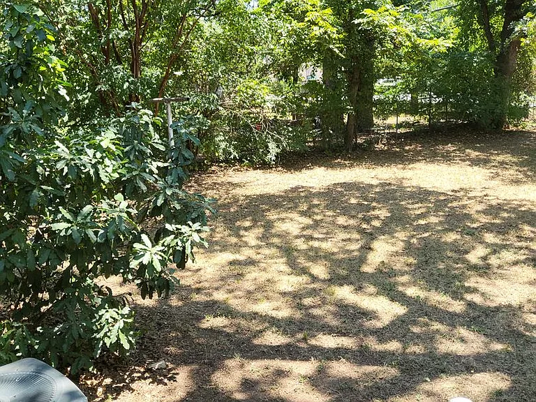 304 E Ellen Ave — Photo 20