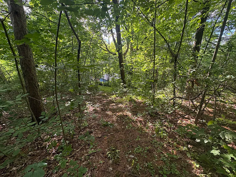 3580 Slinger Rd — Photo 10
