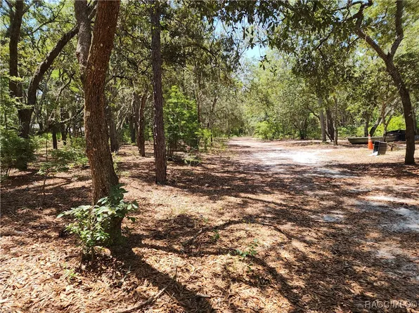 3775 S Osprey Point, Inverness, FL 34450