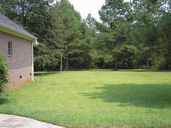 Back yard from driveway.