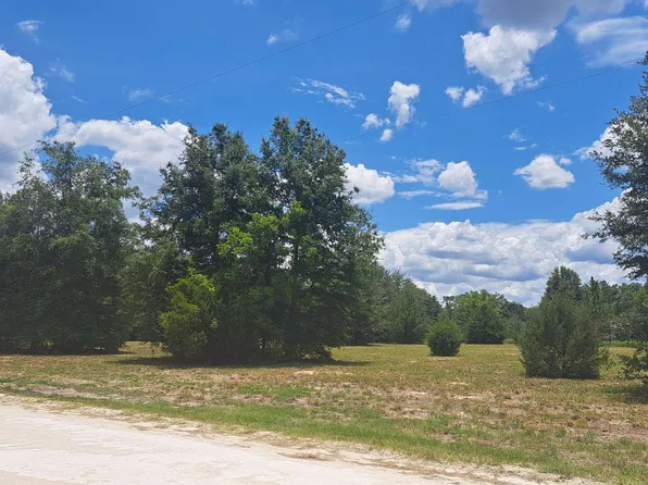 276th Ter, Branford, FL 32008