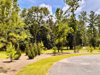 LOT 17 Pine Preserve Ln, Jay, FL, 32565