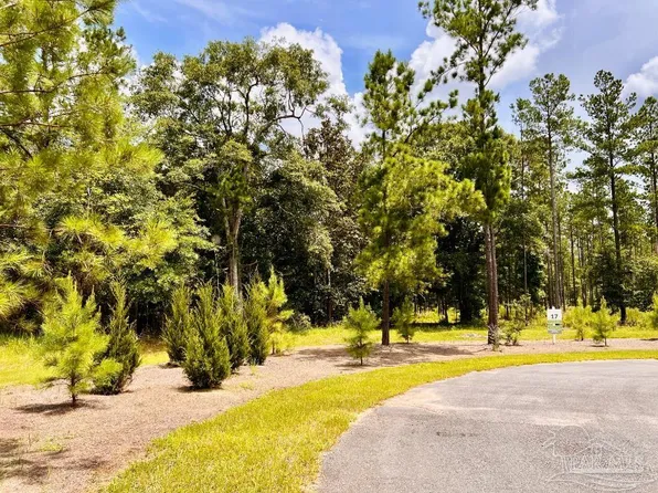 LOT 17 Pine Preserve Ln, Jay, FL 32565