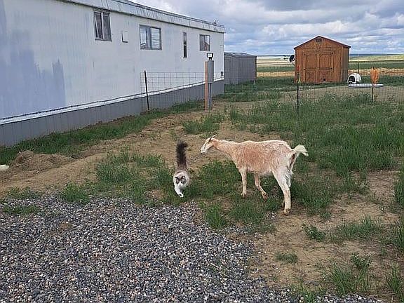 14x70 1970's mobile home