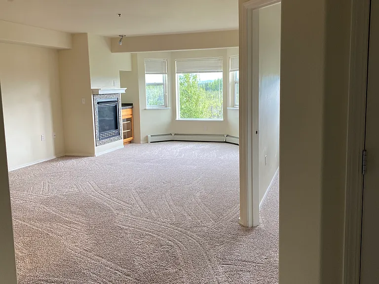 11351 Discovery View Dr #208A — Photo 6