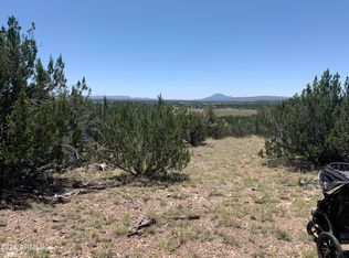 37925 W Raptor Rd #764, Seligman, AZ 86337