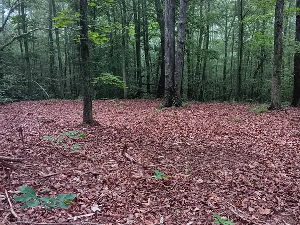 0 Logger Ln Lot 52, Cedar Grove, TN 38321
