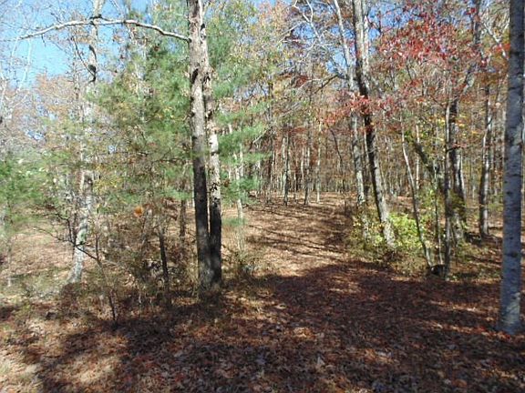 4th image of 34A Lake Louisa Loop Lot 34A