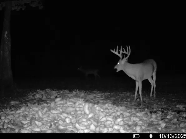 0 Atkinson Cemetery Road, Atkinson, NC 28421