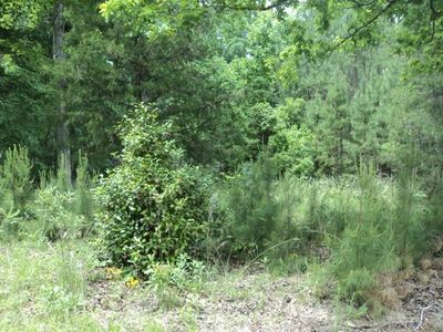 416 Knottywood Dr, Lavonia, GA, 30553