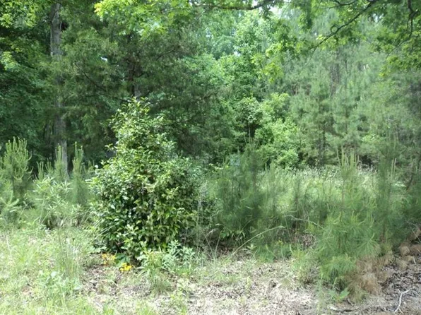 416 Knottywood Dr, Lavonia, GA 30553