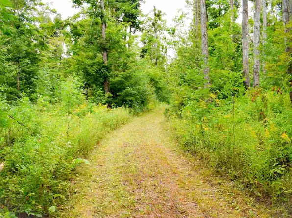 Kuzmik Rd, Boyne Falls, MI 49713