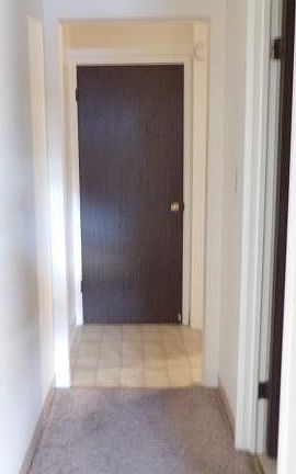 5th image of 1005 Patricia Dr