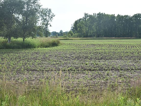 5th image of Dumke Ln